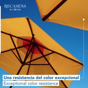 232241514_4501379386574209_8145907450411758829_ntoldoamarillo