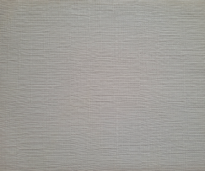 Gris 4