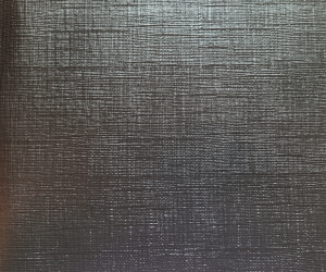 Gris Plomo